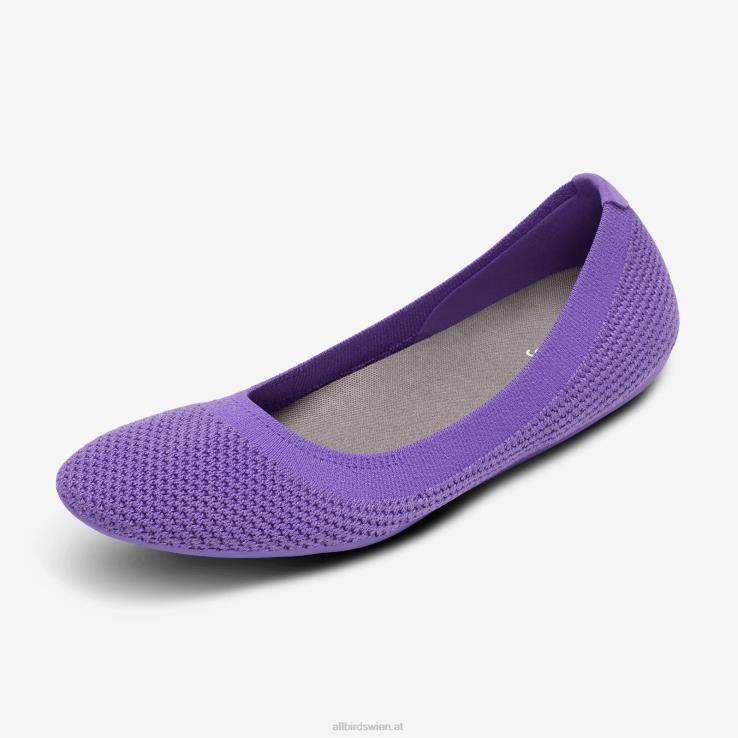allbirds_baumbringer_fuer_damen_dz826165_chia_lila.jpg Allbirds Baumbringer für Damen DZ826165 Chia lila – Bild 1