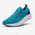 Allbirds Baumflyer für Männer DZ82697 Thrive Teal (Blizzard Sole)