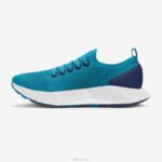Allbirds Baumflyer für Männer DZ82697 Thrive Teal (Blizzard Sole) – Bild 3