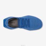 Allbirds Herren Tree Dasher 2 DZ82621 reines Azurblau – Bild 5