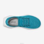Allbirds Herren Tree Dasher 2 DZ82622 Thrive Teal (Blizzard Sole) – Bild 5