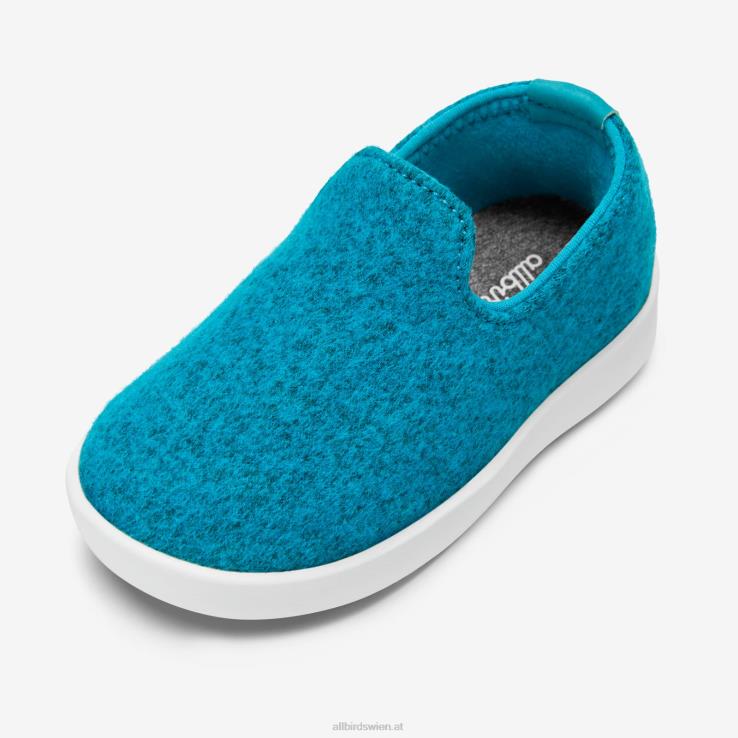allbirds_smallbirds_wollliegen_kleine_kinder_dz826250_gedeihen_blaugruen_blizzard.jpg Allbirds Smallbirds Wollliegen – kleine Kinder DZ826250 gedeihen blaugrün (Blizzard) – Bild 1